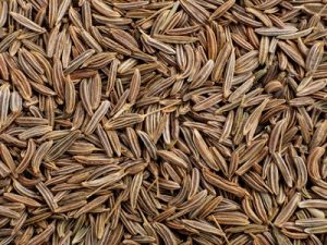 Cumin Seeds