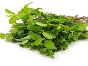 Mint Leaves