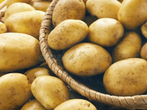 Potato